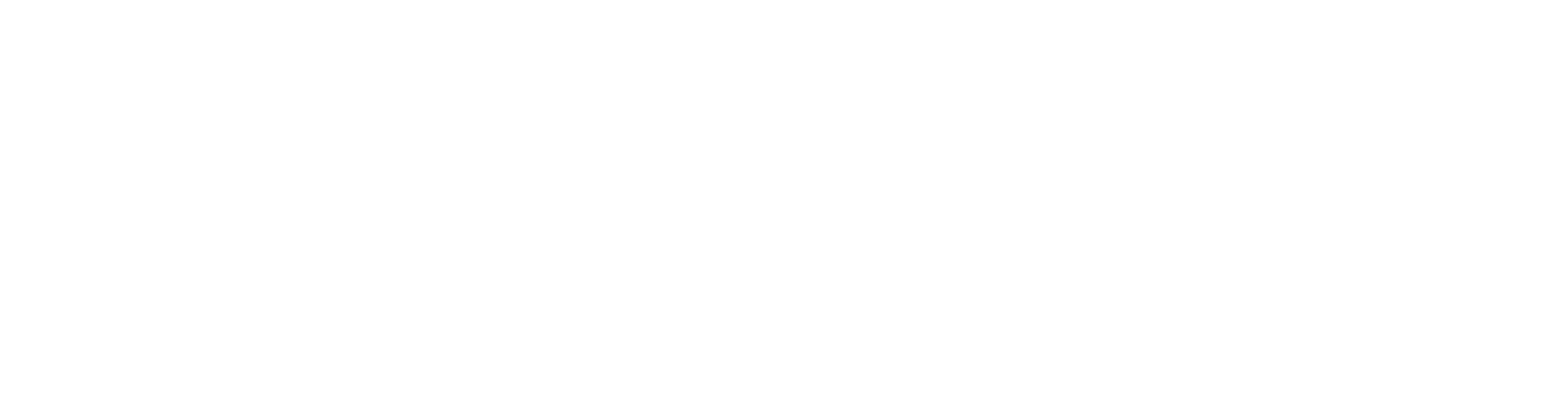Rail freight the future is ours